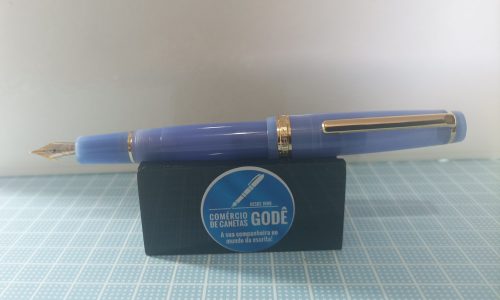 CANETA CHINESA! UM DIA VOCÊ AINDA TERÁ UMA!